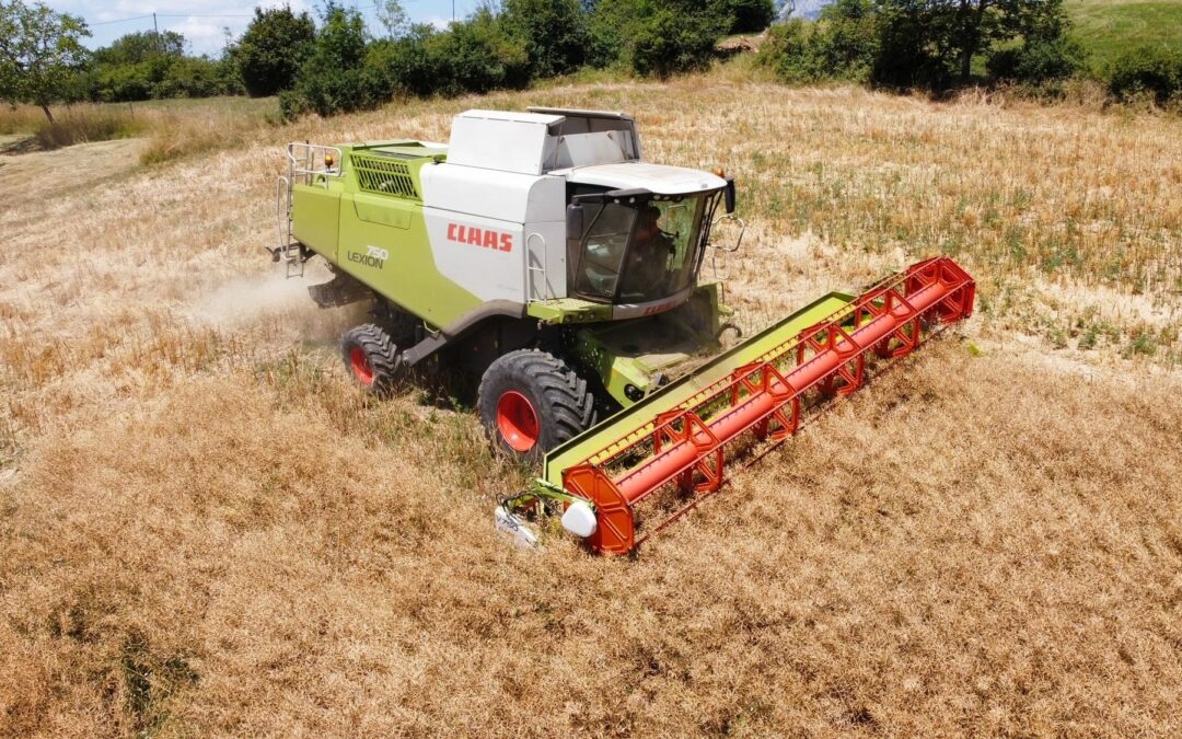 Claas Lexion 750 Montana